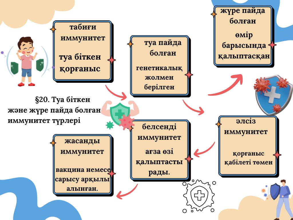 Урок 19