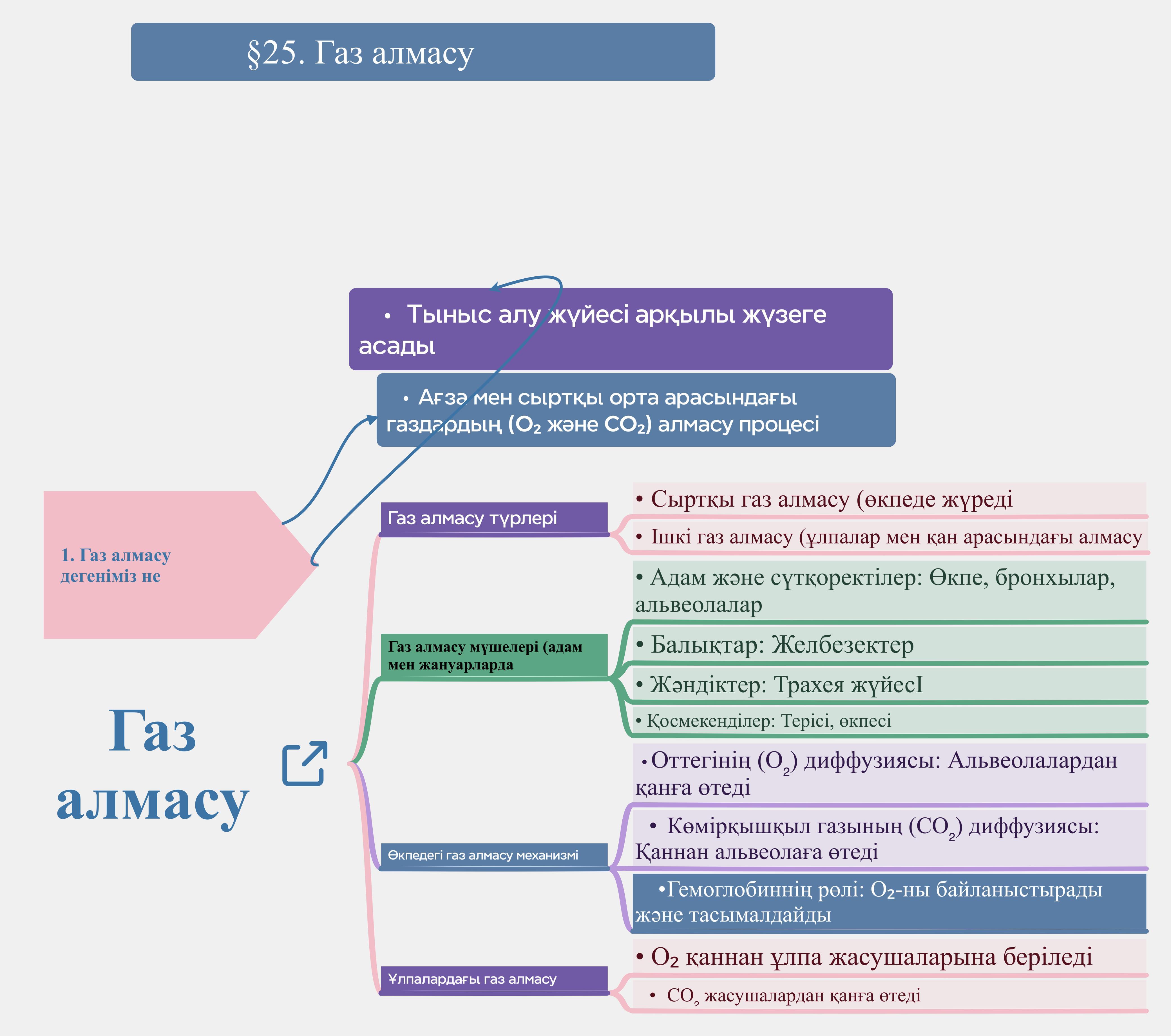 Урок 25