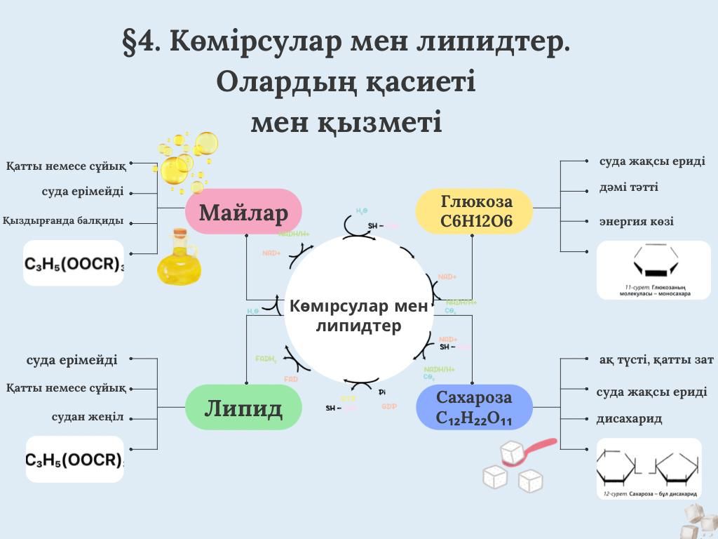 Урок 4