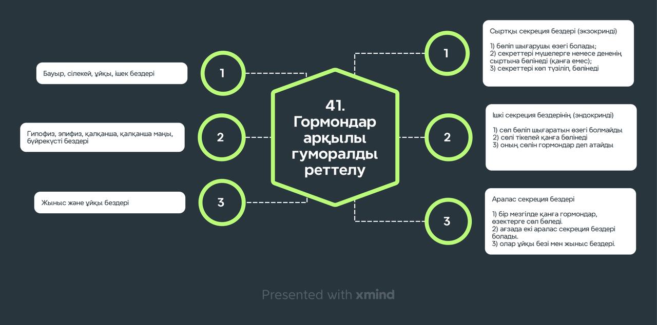 Урок 41