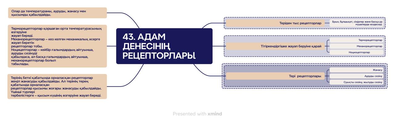 Урок 43