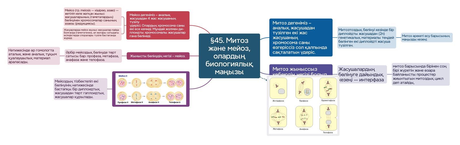 Урок 45