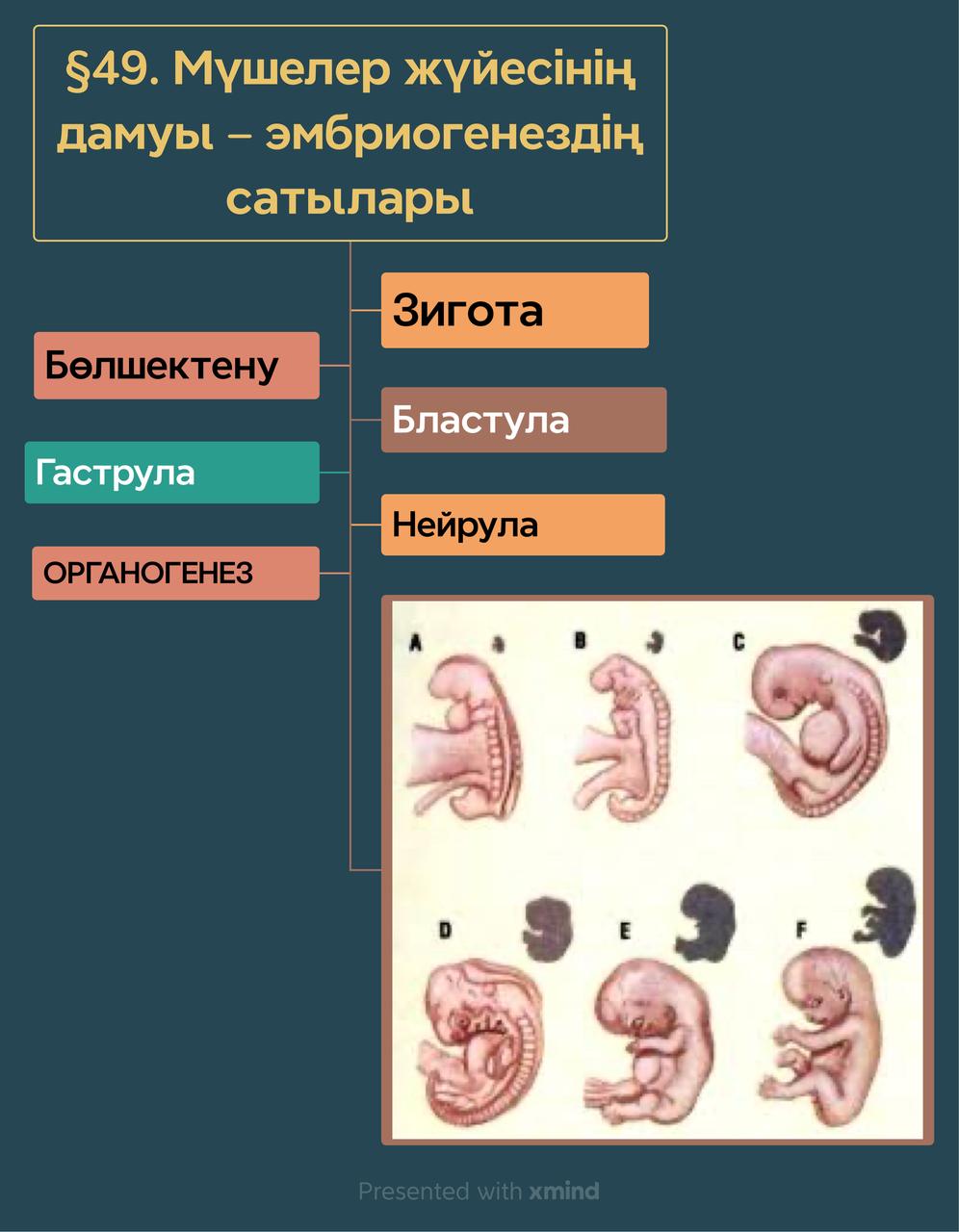 Урок 49