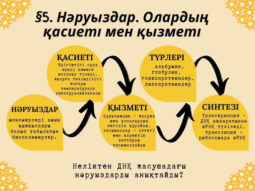 Урок 5