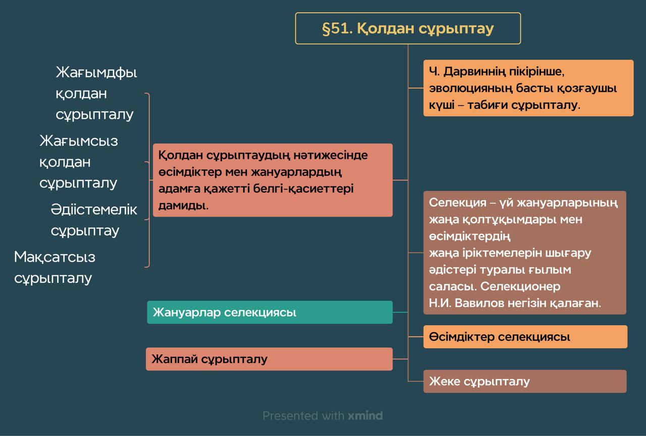 Урок 51