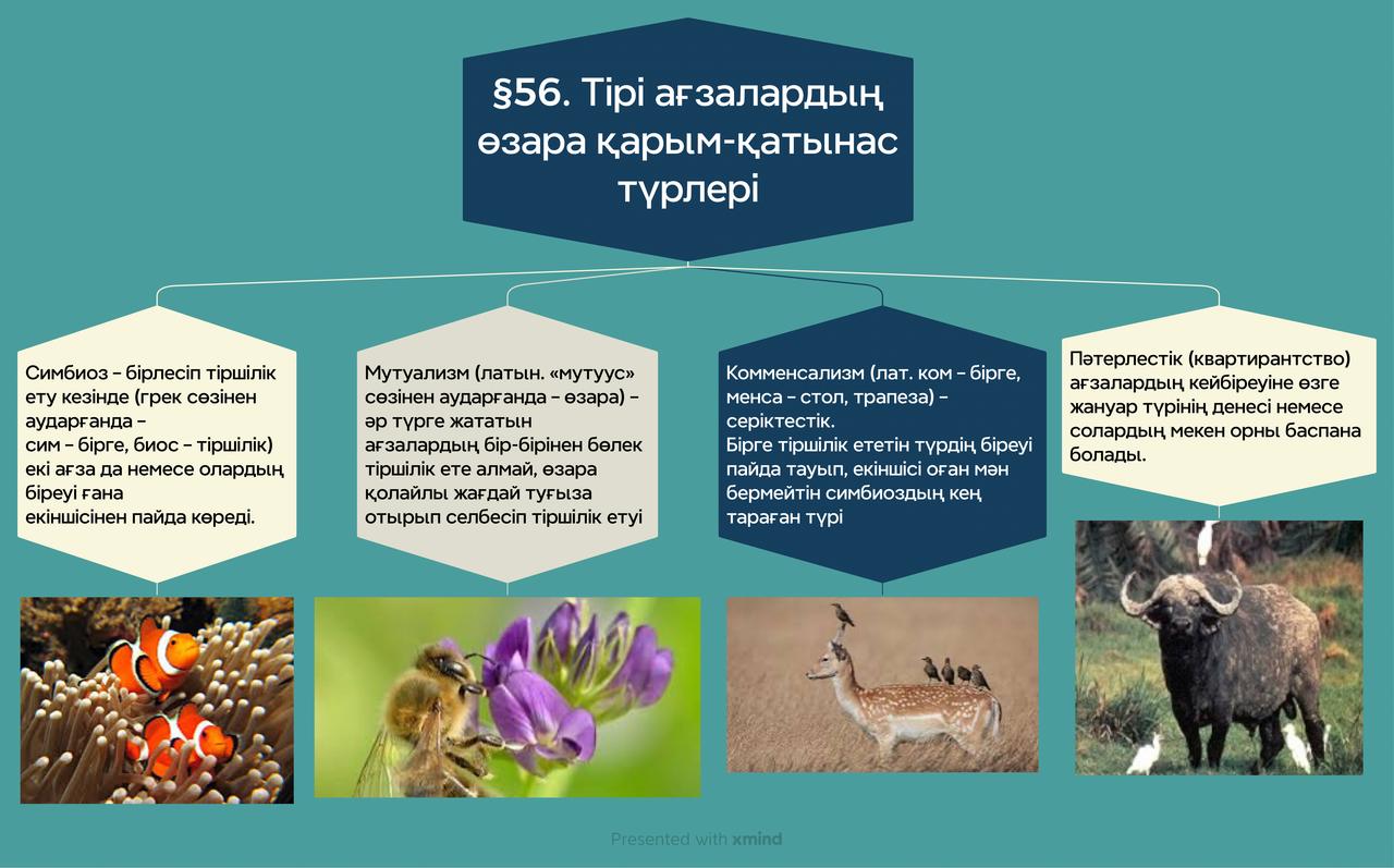 Урок 56