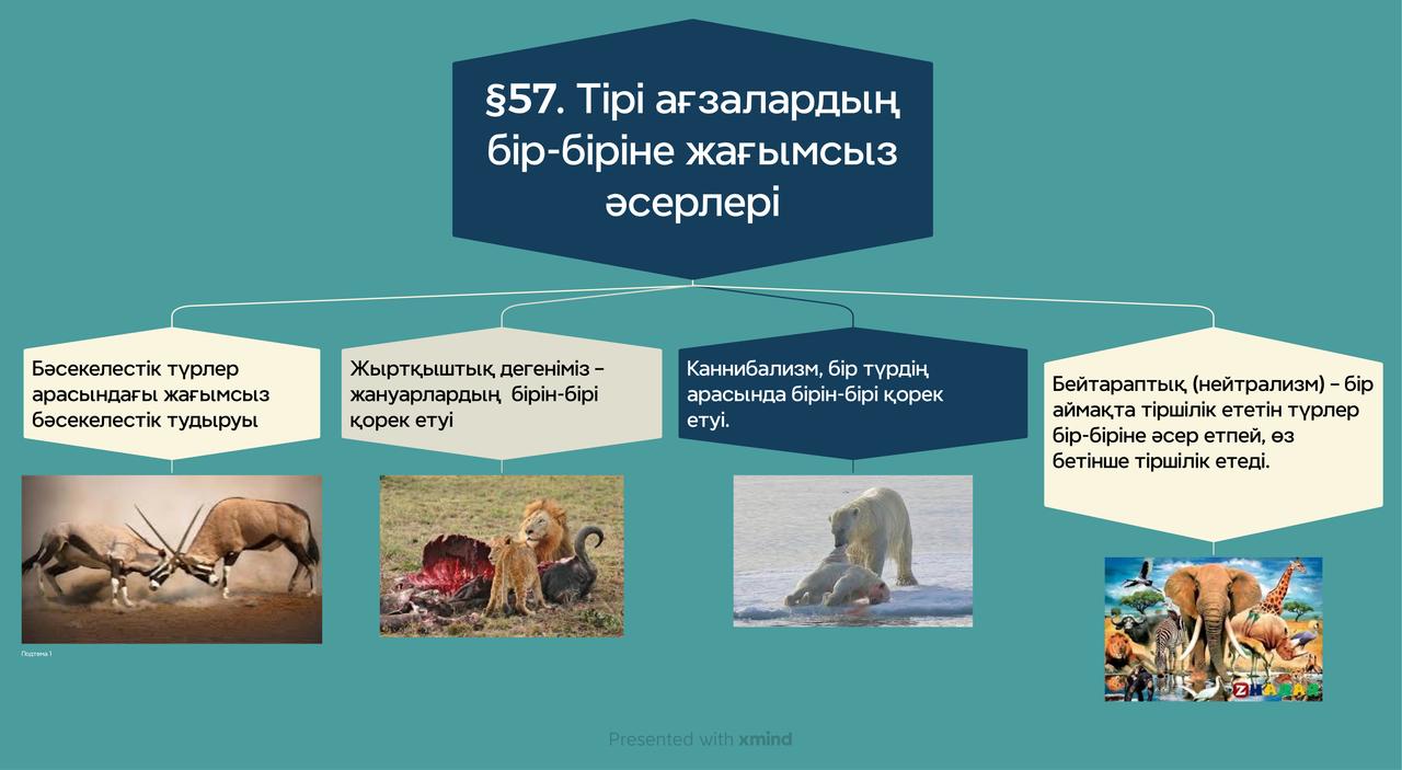 Урок 57