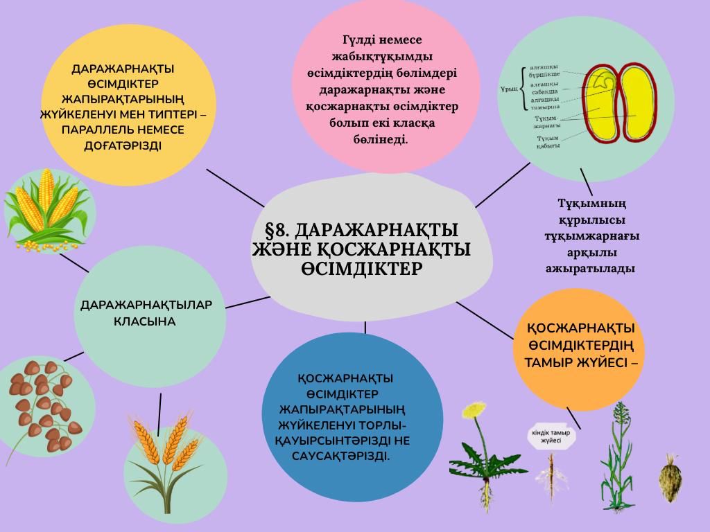 Урок 8